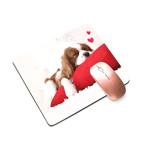 }EXpbh ^ Q[~O}EXpbh Q[~O܂pbh Q[~O }EX }EXpbh ^ q