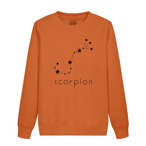 Sweatshirt enfant Scorpion avec constellation minimaliste en coton doux