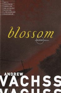 Blossom (Burke Series Book 5)