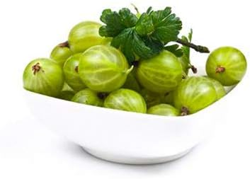 Fresh Frozen Organic Green Gooseberries by Northwest Wild Foods - Healthy Antioxidant Fruit Diet - for Smoothies, Pies, Jams, Syrups (4.5 Pounds)