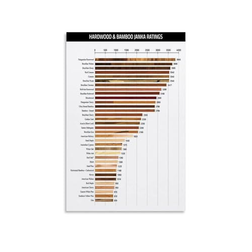 Tableau de comparaison des espèces de bois Janka art mural pour bureau 40x60