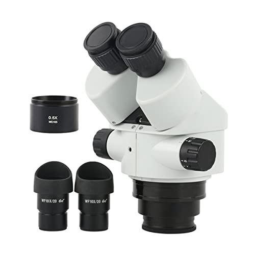 Lbg 3B5x 7x 45x 90xoXeIwbhANZT[ wf10x/20mmACs[X0B5x 2xo[EY YA_v^[ (Color : 3)