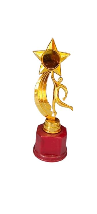 Gold Star Trophy with Red Base, Award for Achievement Recognition, Decorative Figurine-image-21