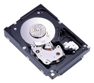 MAX3147RC - FUJITSU HDD 147GB 15K U320 SAS 3.5'' : Amazon.co.uk