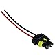 L & P Car Design 2x HB3 Lampen Stecker Fassung Sockel Lampenfassung Lampensockel Lampenstecker P20d 9005 mit Kabel für Lampen Glühlampen Glühbirnen