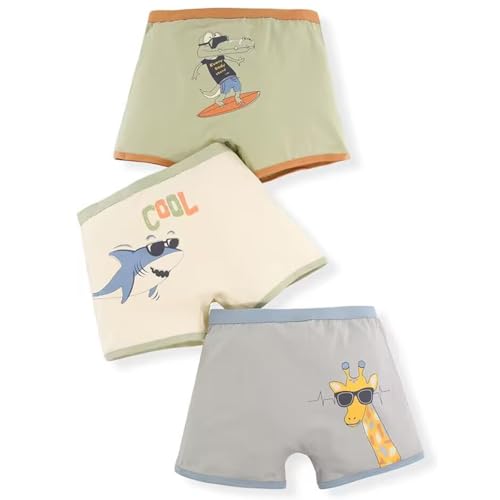 j̎q V[c pc 3Zbg WjA {NT[pc 95%  q j {NT[V[c   Zp OJ ʋC 100-170 (150, D-1)