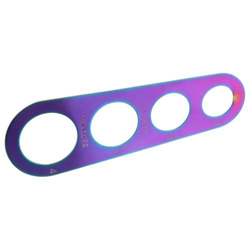 Didiseaon Outil de Mesure de Spaghetti en Acier Inoxydable 430, Doseur à Pâtes 4 Trous, Règle Colorée Compacte pour Portions Précises, Ustensile Cuisine Polyvalent Maison et Voyage