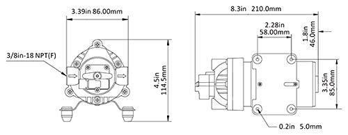 LIGHTEU® Seaflo DC 12V 5.5LPM/1.5GPM 31S 5.5Bar, Max Draw 8.0A, selbstansaugende Hochdruck Membranpumpe für Wohnmobil, Wohnwagen, Garten