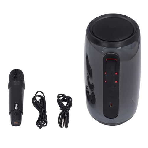 Haut-parleur BT et microphone pour karaoké afin de libérer votre voix sans fil
