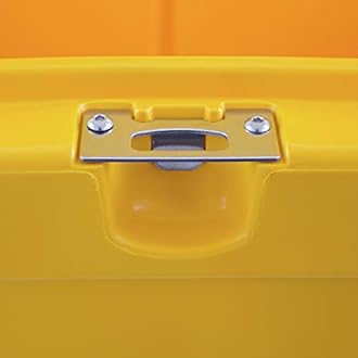 DEWALT 45 Qt Roto Molded Cooler, Heavy Duty Ice Chest for Camping, Sports & Outdoor Activities