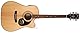 Cort AD880CENSW E-Acoustic Guitar Cort with Case