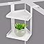 Standard White