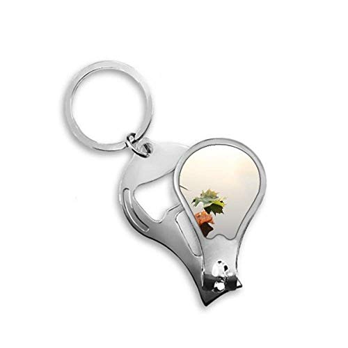 Coupe-ongles de pieds motif feuilles d'automne DIYthinker en acier robuste
