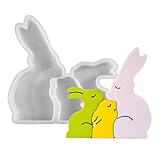 Osterhasen-Harzform – Silikon-Betonformen – Epoxidharz-Form, für Partyplaner, Kunstlehrer,...