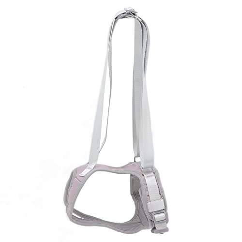 Harnais de Soutien pour Chien lingue d Aide la Mobilit Post Rieure pour Chiens Faibles Bless s ou Handicap s Taille L – vue 5