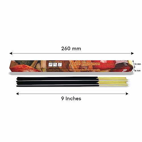 Flute Incense Stick -Total 200 Stick Box (Apple Cinnamon) #TOP25