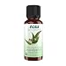 NOW Organic Eucalyptus Globulus Oil, 1-Ounce