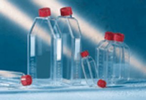 690975 Polystyrene Advanced TC T-25 Standard Cap Cell Tissue Culture Flask, Sterile, 50 mL Volume, Blue Filter Screw Cap (Pack of 200)