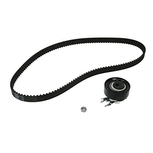 Kit de distribution INA 530 0167 10 évite la casse moteur sur VW Golf III