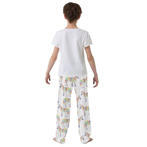 Zebra Rainbow Colorful Print Boys Long Pants Soft Trousers Elastic Waist Kids Lounge Bottoms with Pockets S-XL3