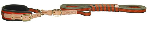 Niggeloh Hundehalsband Schweißhalsung, orange-oliv, S, 011100021