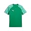 Sport Green|puma White|sport Green