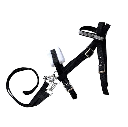 Hobby Horse Accessories
