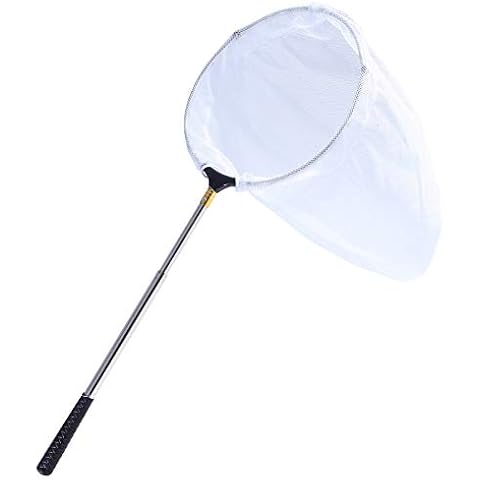 Rngeo Telescopic Butterfly Net, Stainless Steel Extendable Fishing, 15 in - 70 in Insect Toy Nets for Kids and Family (Silver) Cover