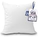 Foamily Premium Hypoallergenic Stuffer Pillow Insert Sham Square Form Polyester, 22" L X 22" W, Standard/White