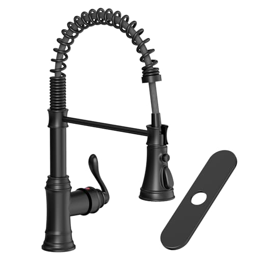 Matte Black Kitchen Faucet with Pull Down Sprayer Single Handle