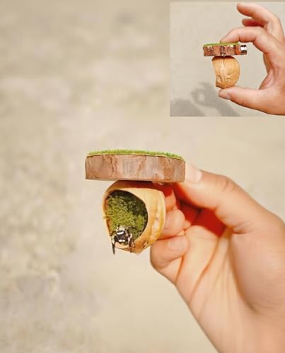 AWXZOM Handmade Jumping Spider Hideout,RealShelter Made of Walnut Skin, Magnetic Spider Enclosure Accessories