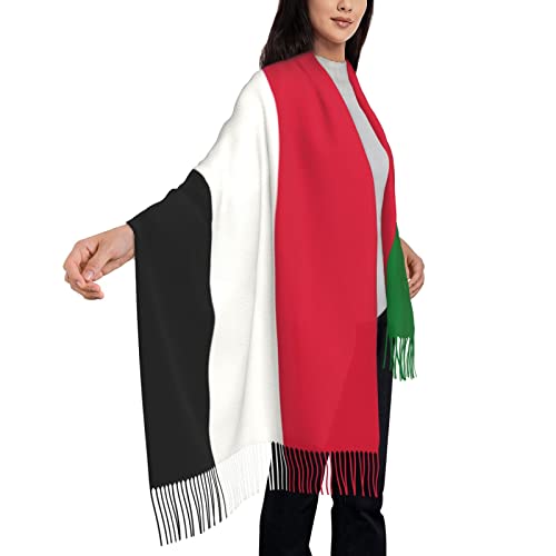 TZT Flag of Romania Scarf For Women and Men Winter Warm Scarves Large Shawl Wrap Shawl Gifts4