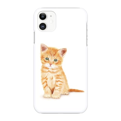 �u���C���Y iPhone 15 Pro Max �Ή� �X�}�[�g�t�H���P�[�X �J�o�[ �w�ʌ^�n�[�h�^�C�v �}���`�J�� Fujina