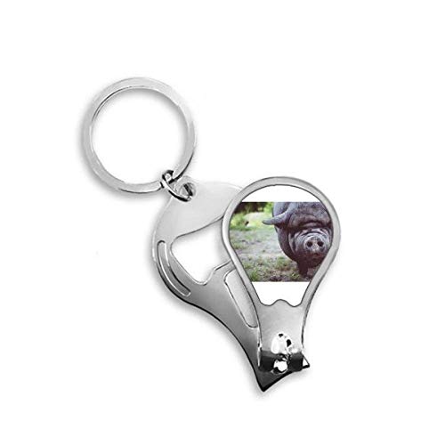 Coupe-ongles animaux sauvages terrestres idéal pour la trousse de toilette de voyage