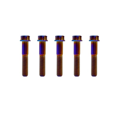 Image of RISON Titanium Bolts M10*1.25 * 70 Torx Titanium Bolts for Motorcycles Hex Head Dual Drive Burnt Blue Titanium Flange Bolt Pack of 5