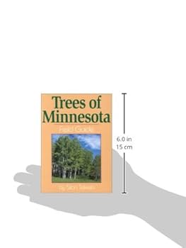 Tara Books “The Leef Tree” Tree Covers: The Night Life of Trees Keeps Growing - Tara Books