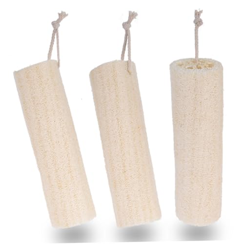 OSOLADY 3Rhw`}̔wpXNo[ uV  V[u