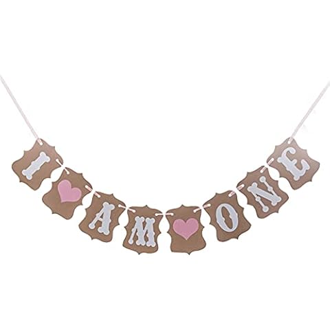 SwirlColor 1st Birthday Party Bunting Banner Baby Girl Pink Decoration (1pcs) Cover