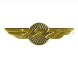 BOEING 777 WINGS PIN