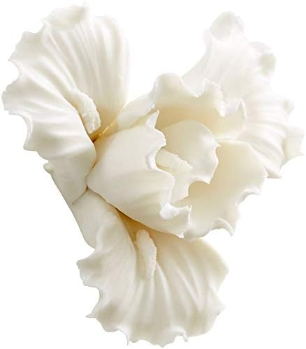 Cyan Design 10277 Wall Décor, White-Cream