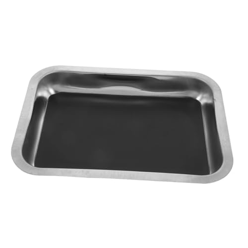 VICASKY Educational Dissection Trays Stainless Steel 26x19x4cm Biology Instrument Tray Lab Organizer for Science Classes