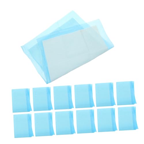 HEMOTON 20 Piezas Alfombrillas de Entrenamiento para Perros Empapadores Absorbentes y Resistentes Fugas para Mascotas Pad de Entrenamiento Multiusos para Perros Gatos y Otros Animales Casa