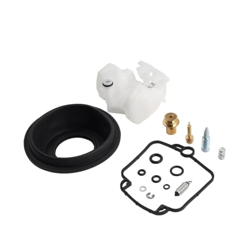 Kit réparation carburateur Suzuki DR650 résout les fuites d'essence et calages