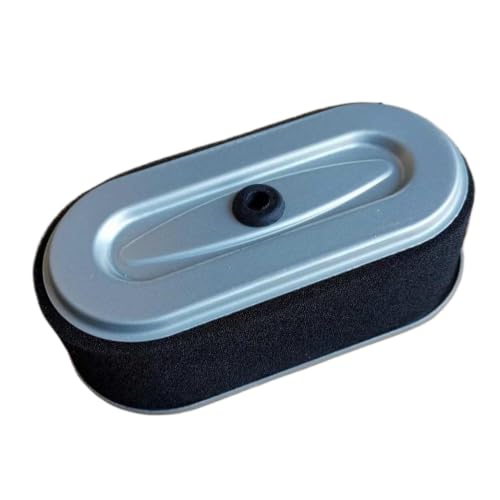 Filtres à air pour moteur EX17 EX21 et WM170 - Lot de 10 pièces de rechange