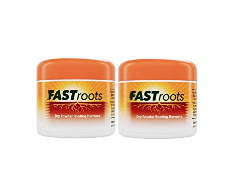 DIVINE TREE FASTROOT Rooting Hormone Powder for Plants Cuttings (100g) – Root Booster for Soft, Semi & Hardwood | Rooting Powder for Propagation, Grafting, Cloning, and Transplant Success
