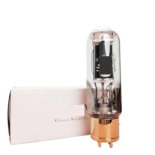 LHXEQJAM 845 Tube HiFi 845 Vacuum Amplifier DIY Audio Amplifier(2pcs Matched Pair)