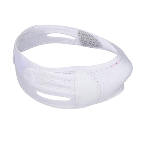 PHENOFICE ʋCztFCXtg VCtFCV R dytFCXxg fB[XtgAbvPA 1