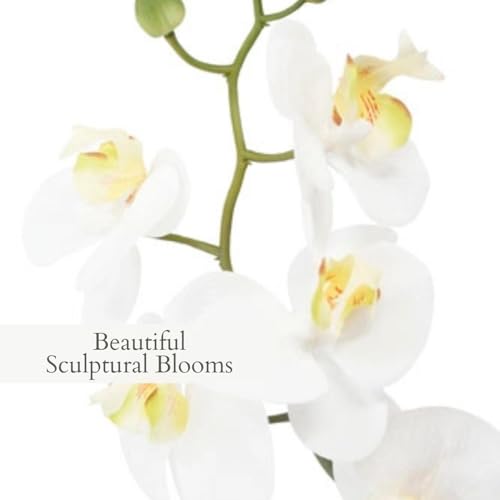 Image of CG Hunter Faux Phale White Orchid Plant, Set-of-2 Premium Artificial Indoor Flower Display Stands 22 inch, Beautiful Sculptural Blooms that Lasts Forever, Planter Pot Included