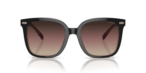 Coach HC8381U Universal Fit Sunglasses, Black/Transparent Blush/Brown Purple Grey Gradient,