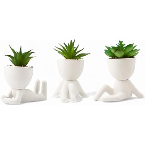 LUNIER Seated Succulent Set with Pots Cover